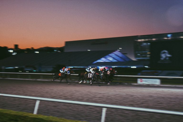 The 2026 Stakes: Why These Preakness Longshots Are Gaining Attention